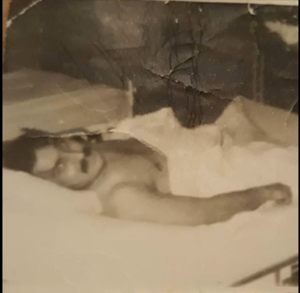 Duygu Nakitsizoğlu tweet media