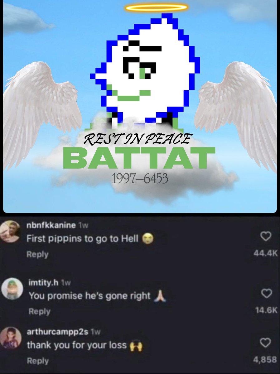 nocturne tweet media