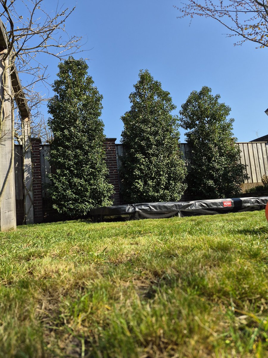 Sem Trades tweet media