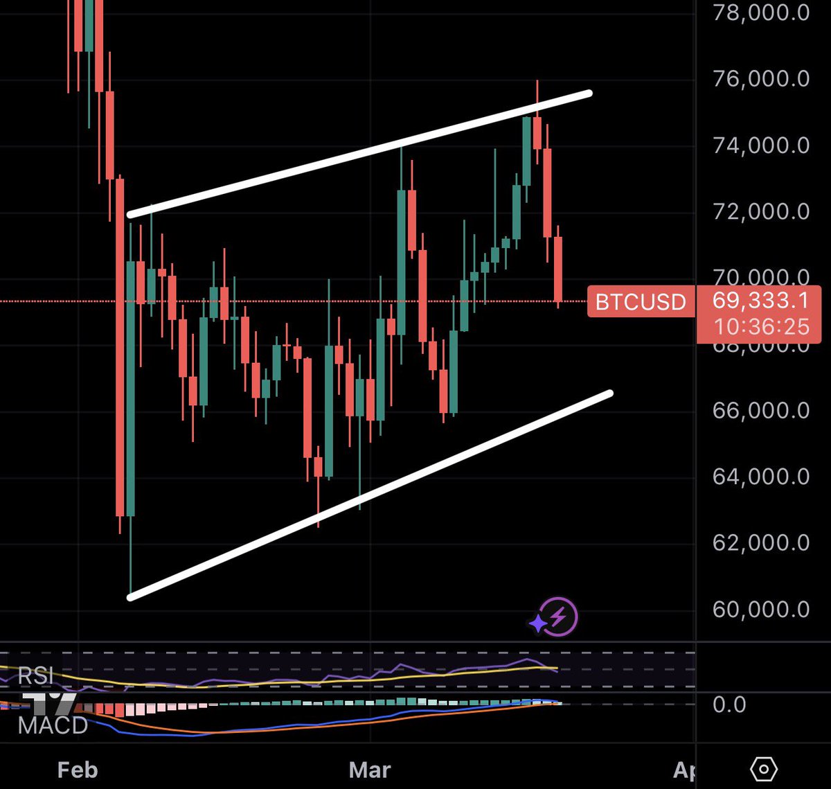 Tyler Hill tweet media