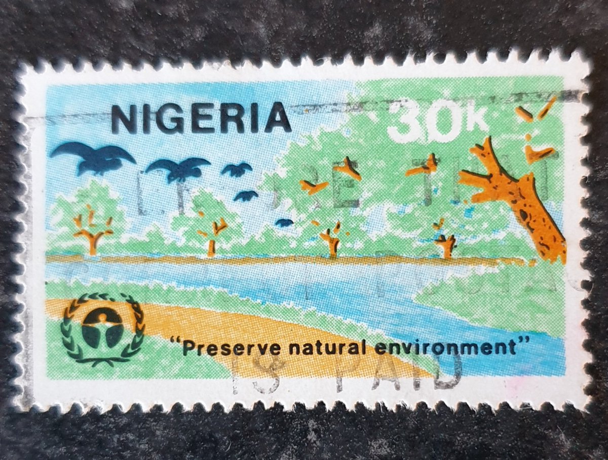 Shane McDonnell tweet media