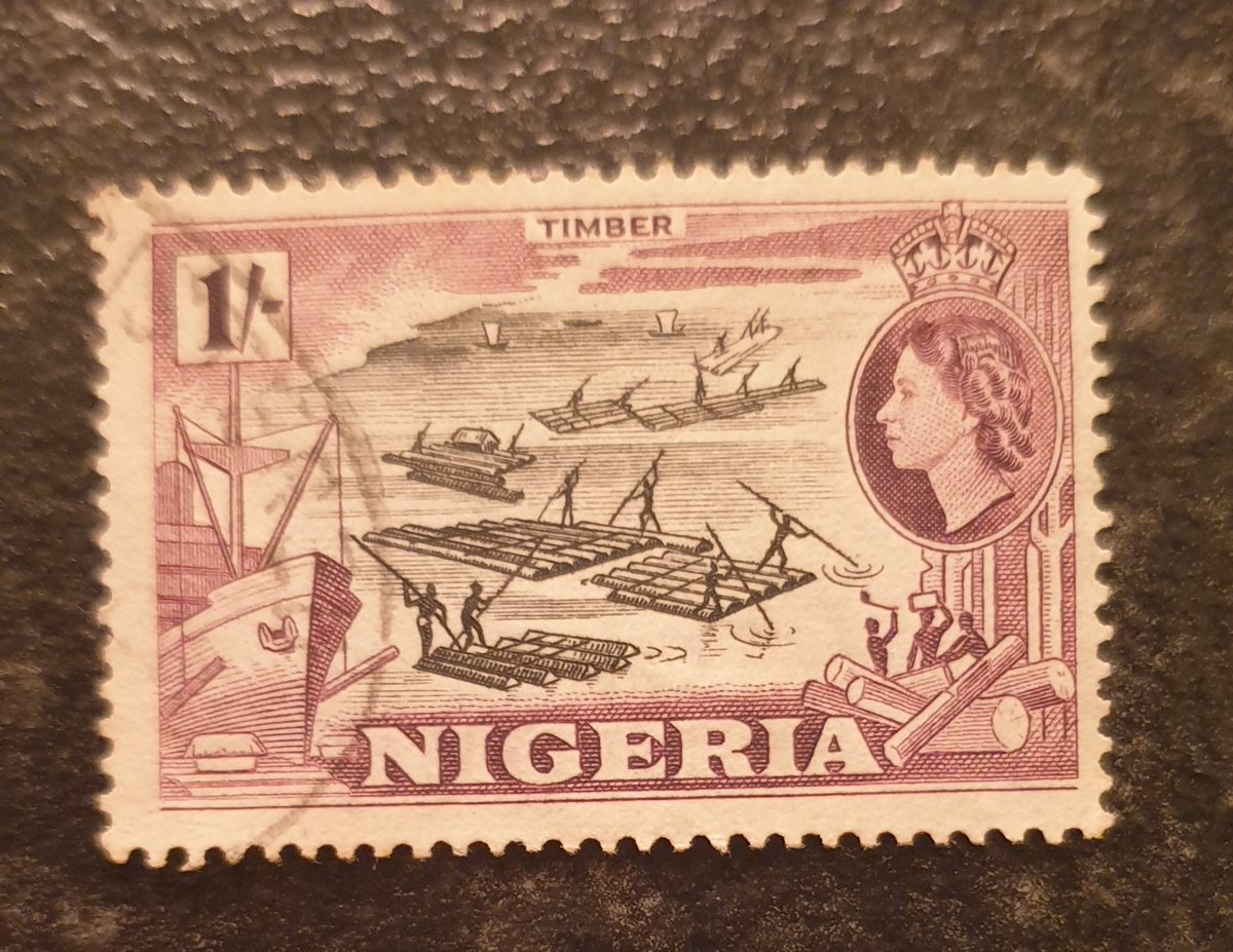 Shane McDonnell tweet media