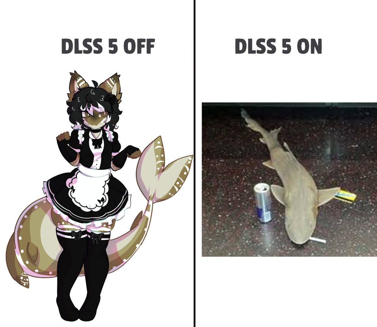 Maverick🦈 tweet media