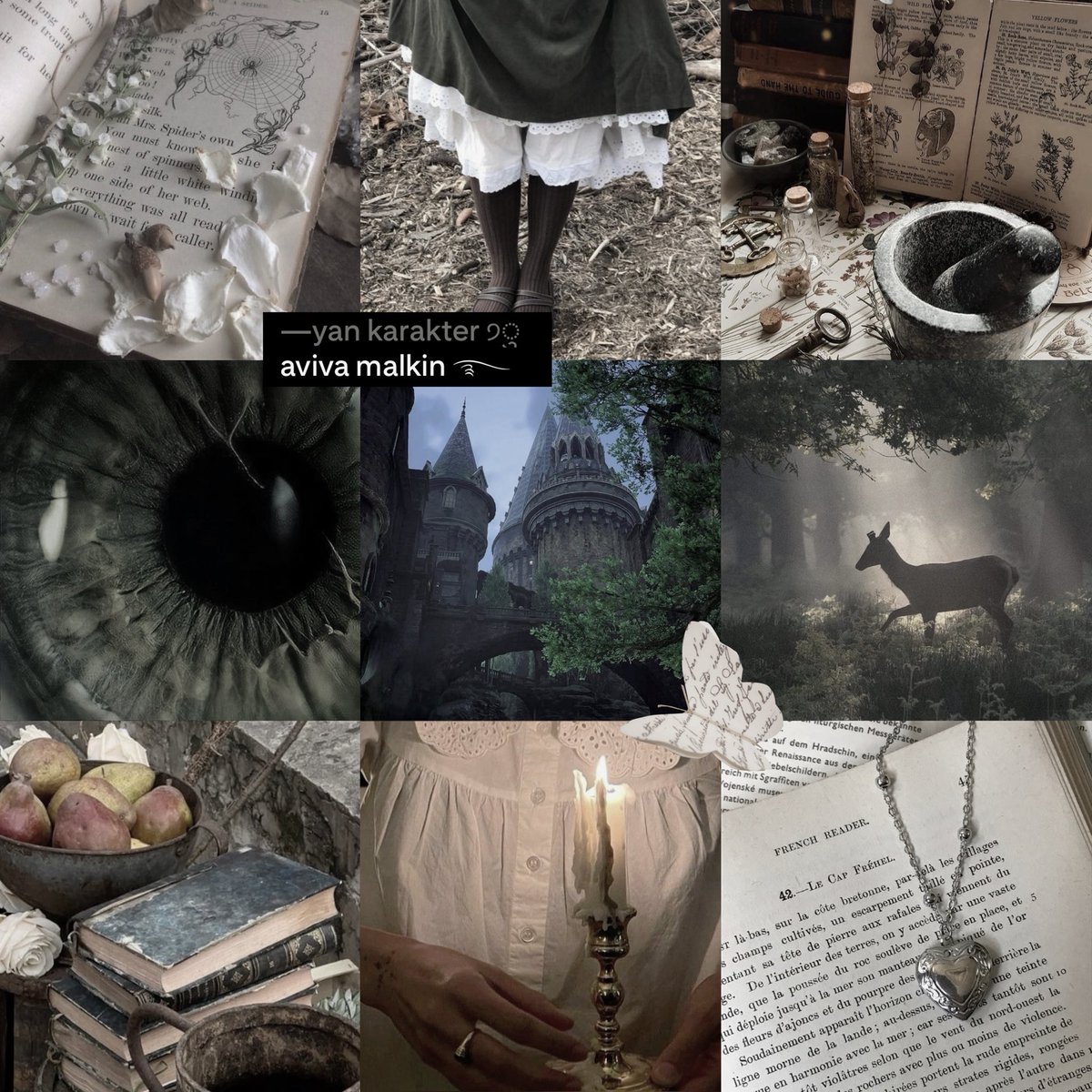 sahra balarısı tweet media