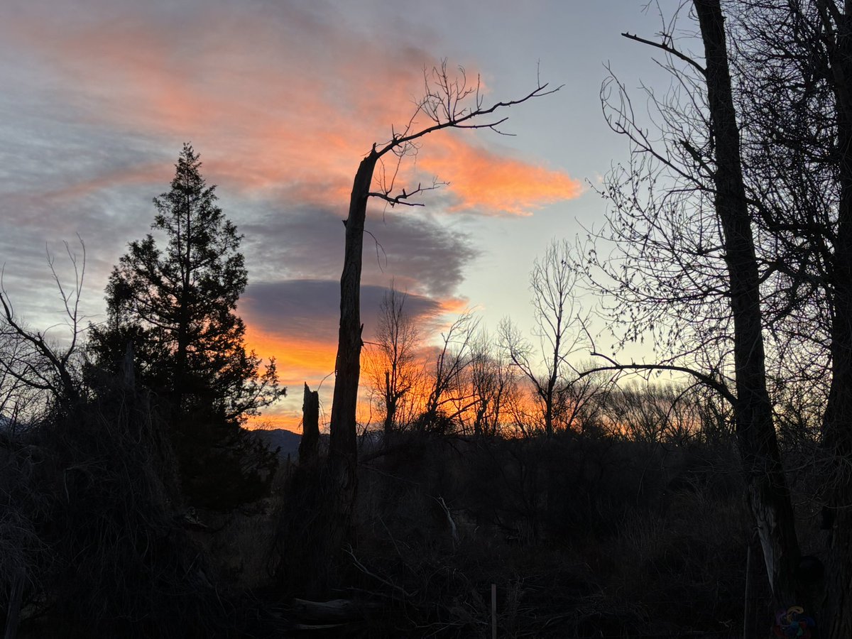 🍒Cherry🍒 tweet media