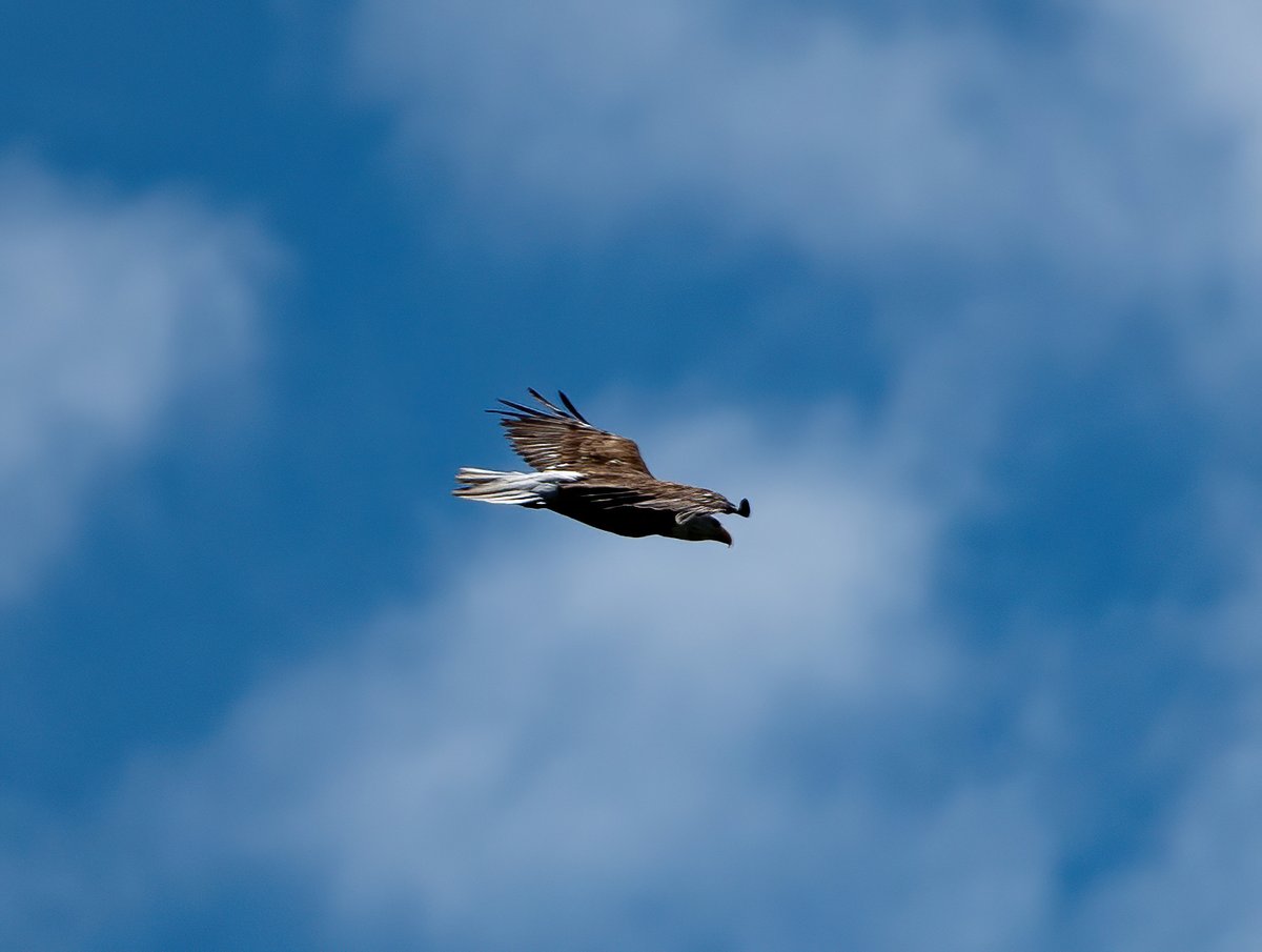 The Only James Magelk tweet media