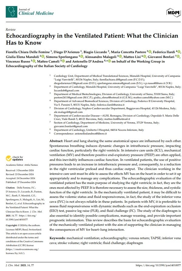 Leonardo Santos tweet media