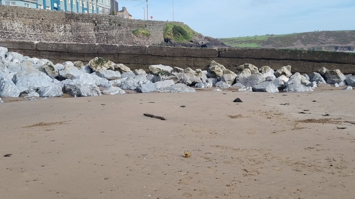 Cork Safety Alerts tweet media