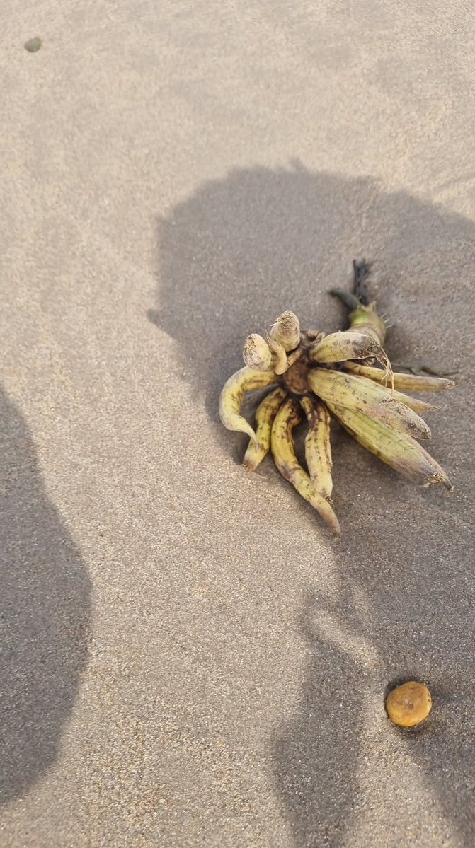 Cork Safety Alerts tweet media