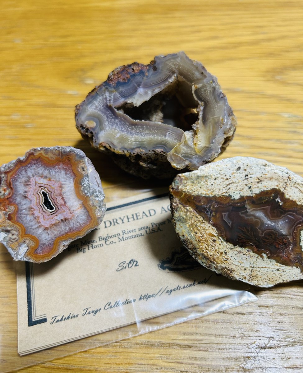 なっちゃんʕ•̫͡•ʕ•̫͡•ʔ tweet media