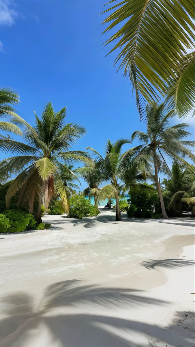 Appart Design tweet media