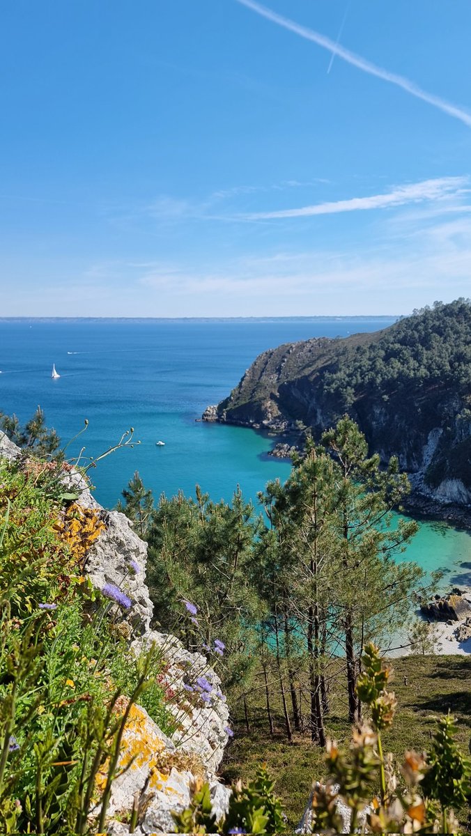 ⚓ CéLine Made In Bzh tweet media