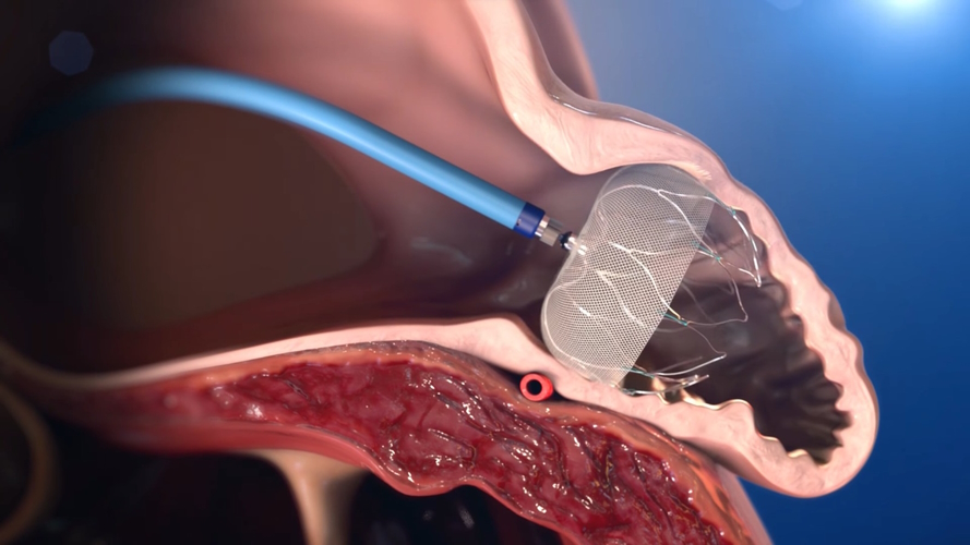 Davide Capodanno tweet media