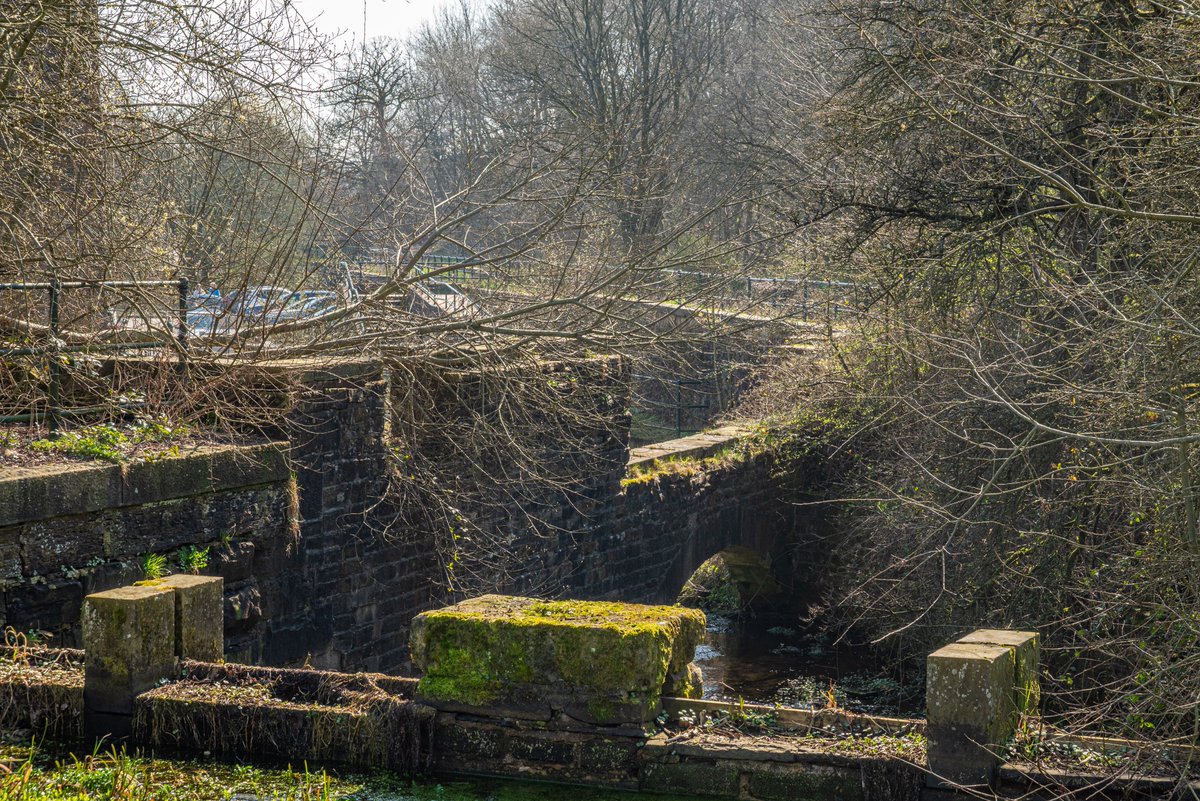 andy carson tweet media