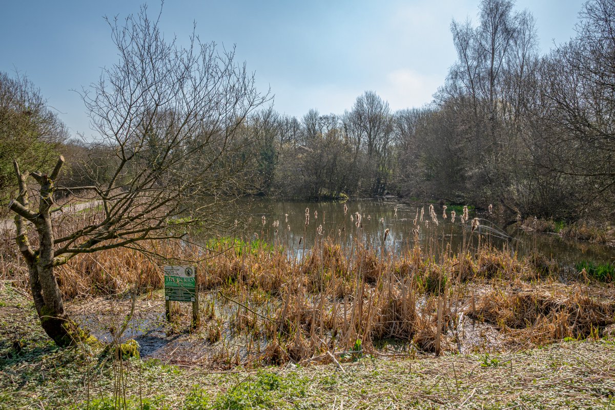 andy carson tweet media