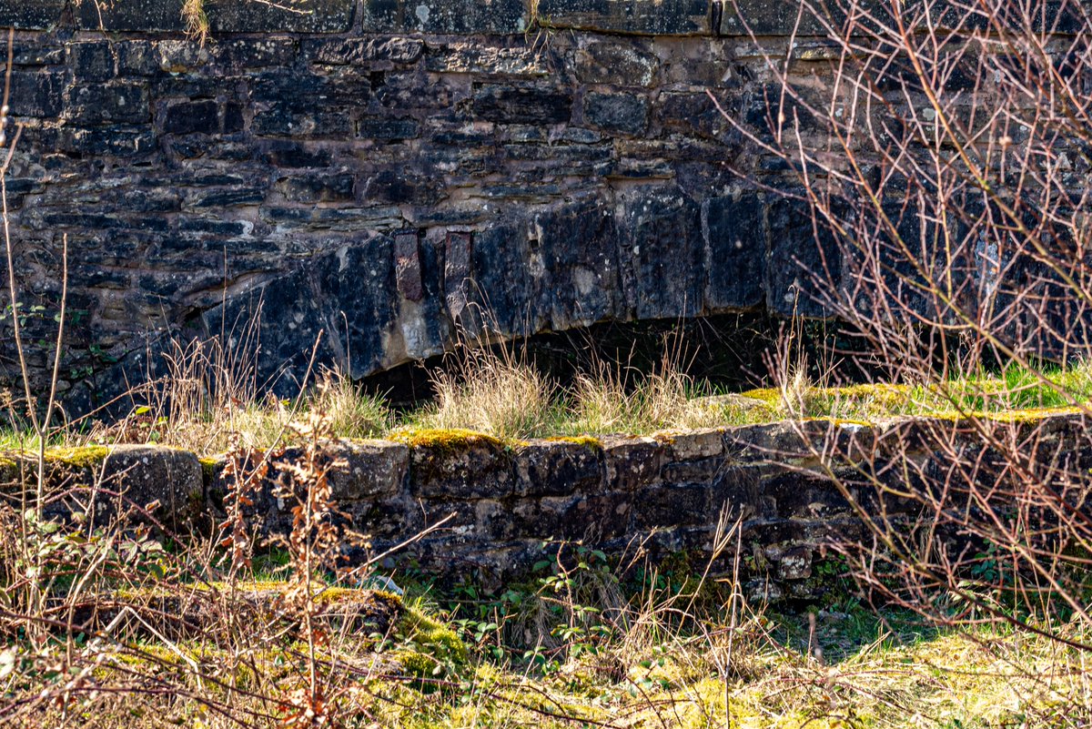 andy carson tweet media