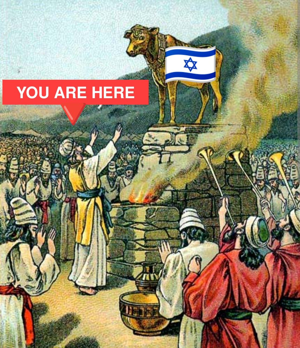 William Collins tweet media