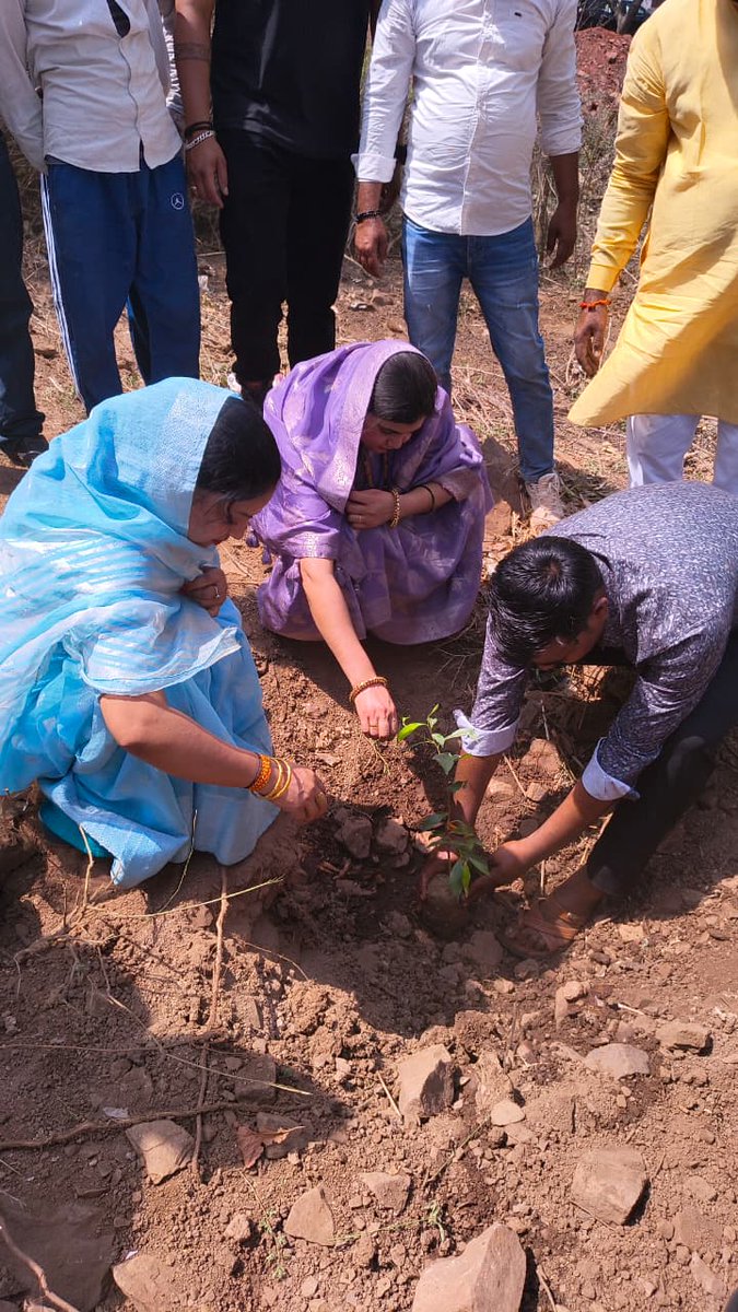 Collector Gwalior tweet media