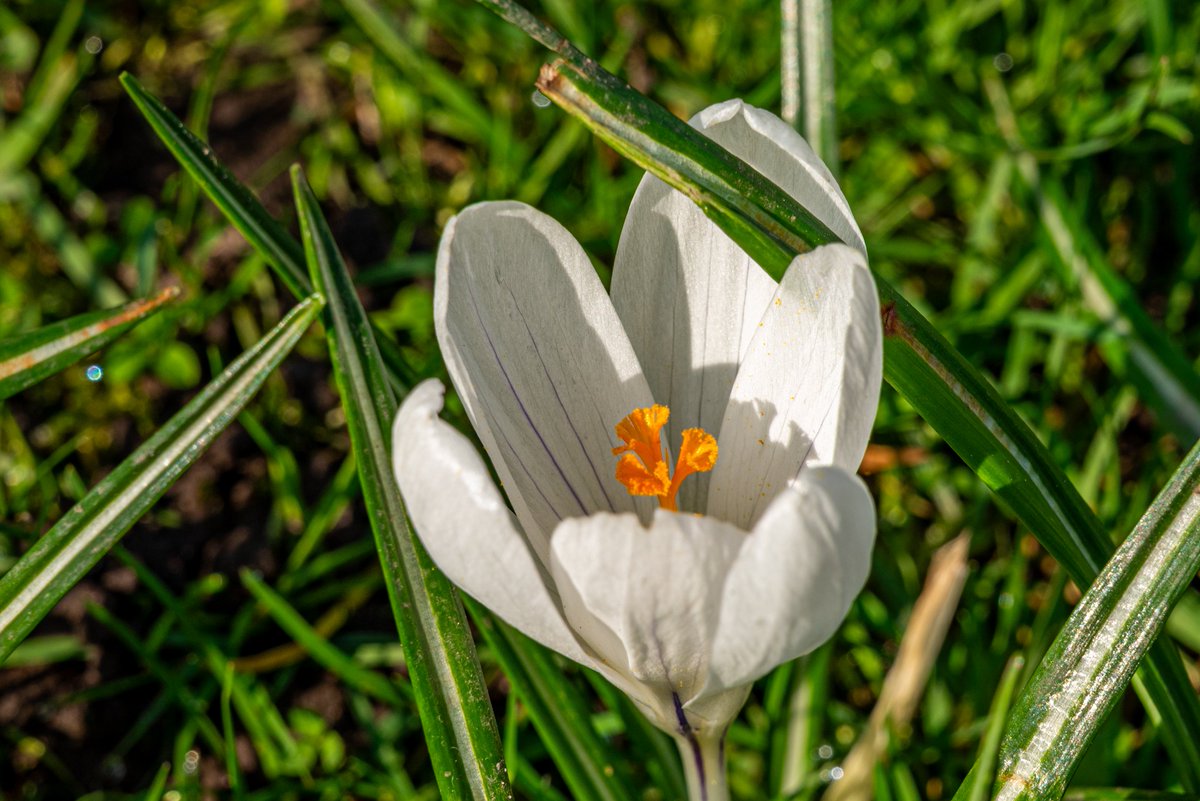 andy carson tweet media