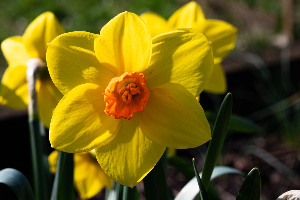 andy carson tweet media