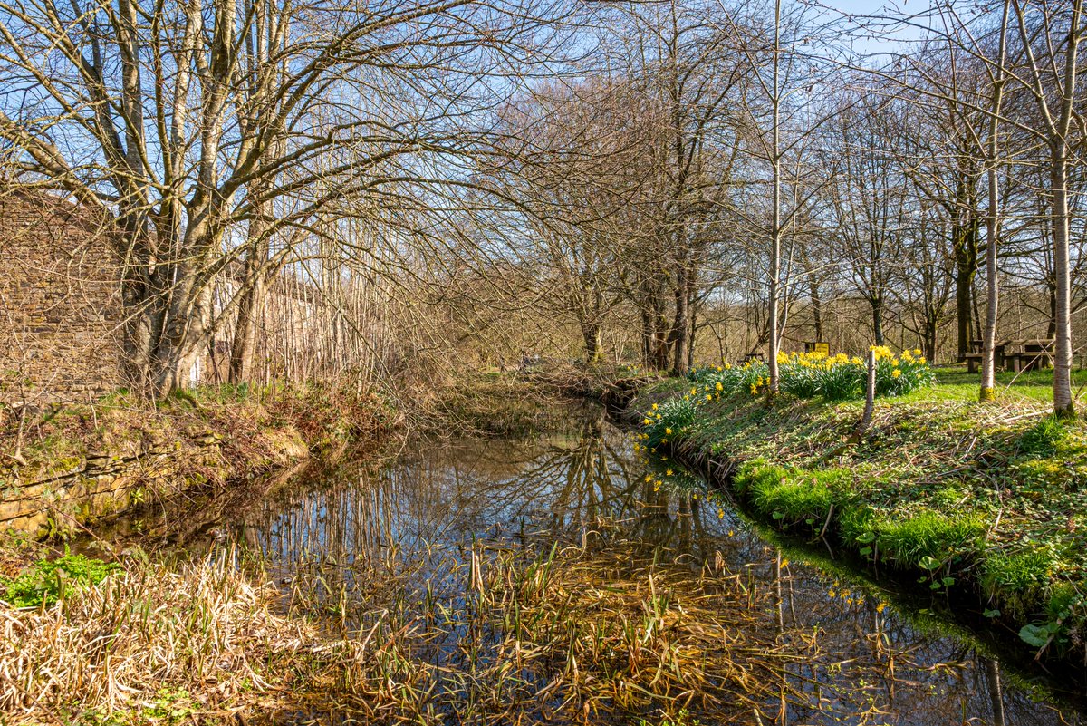 andy carson tweet media