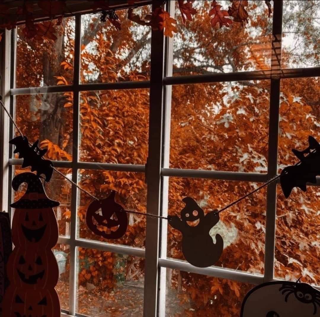 COZYVIBES tweet media