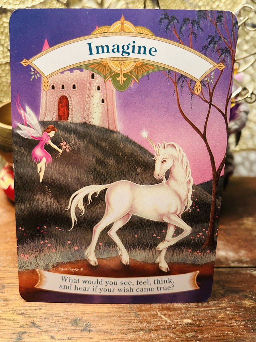 Celtic Fox Fortunes 🦊🦊🦊 tweet media