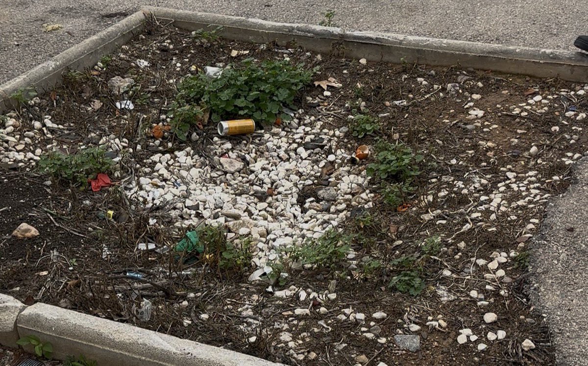 MC Cartagena 🇩🇰 tweet media