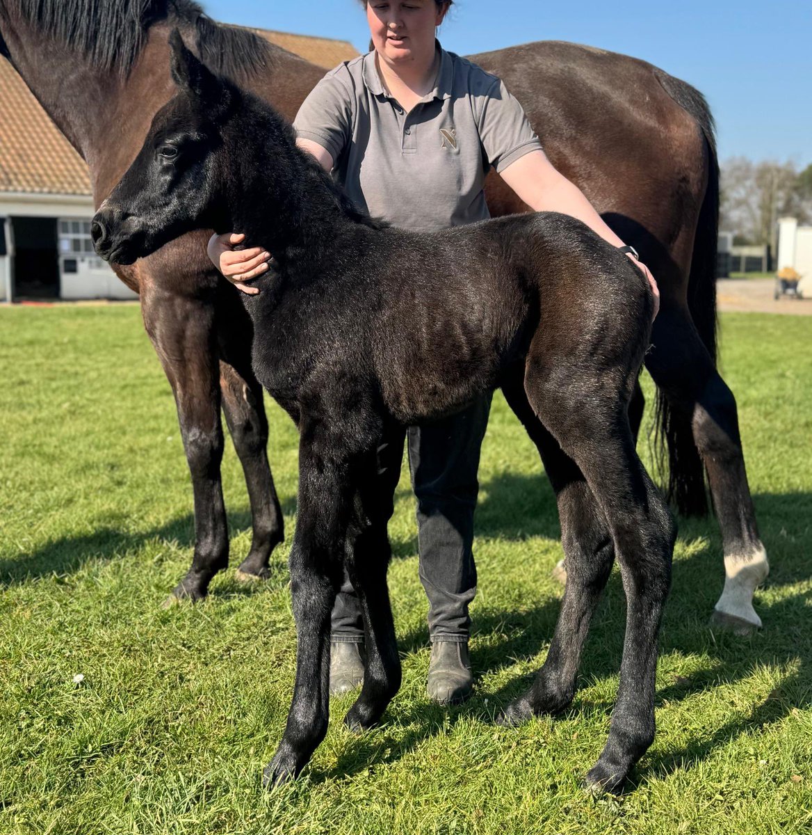 Jess Stafford tweet media