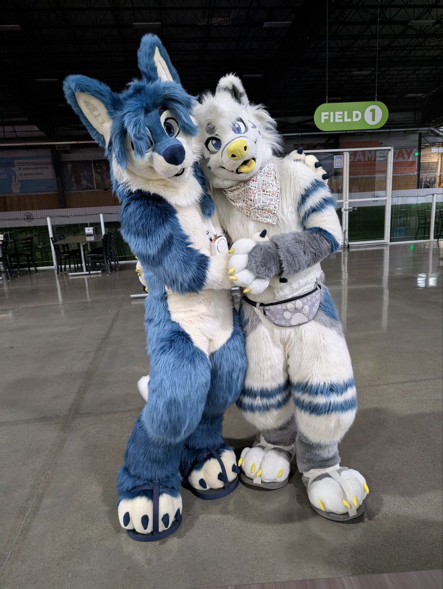 prawnzo 🐺 tweet media