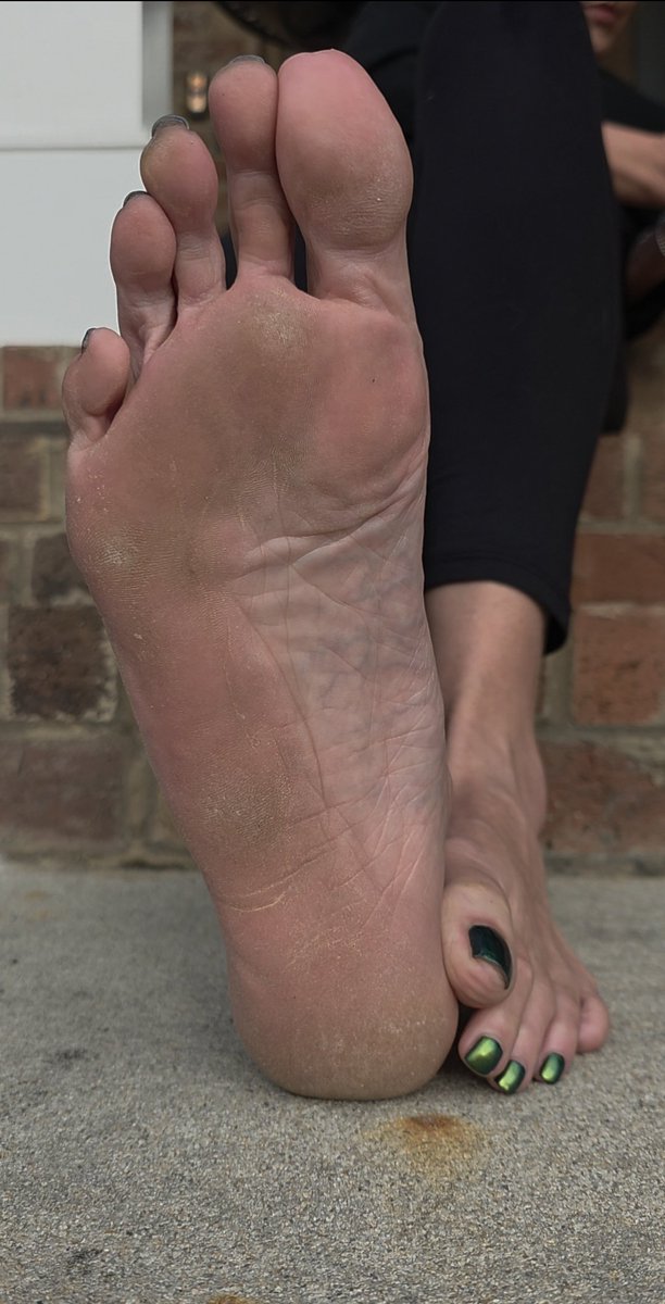 Grandis Solum tweet media