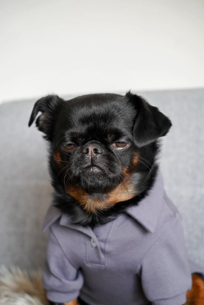 Richmalume tweet media