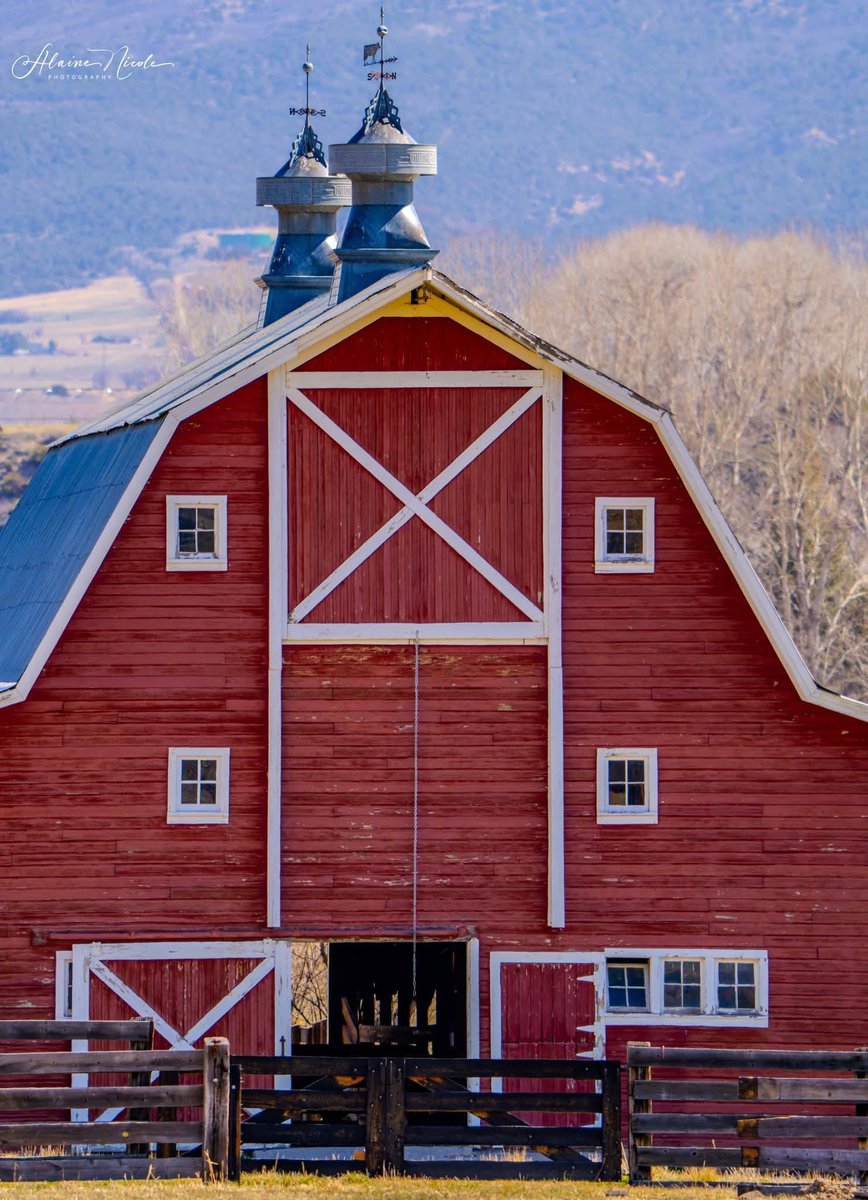 Denver7 News tweet media