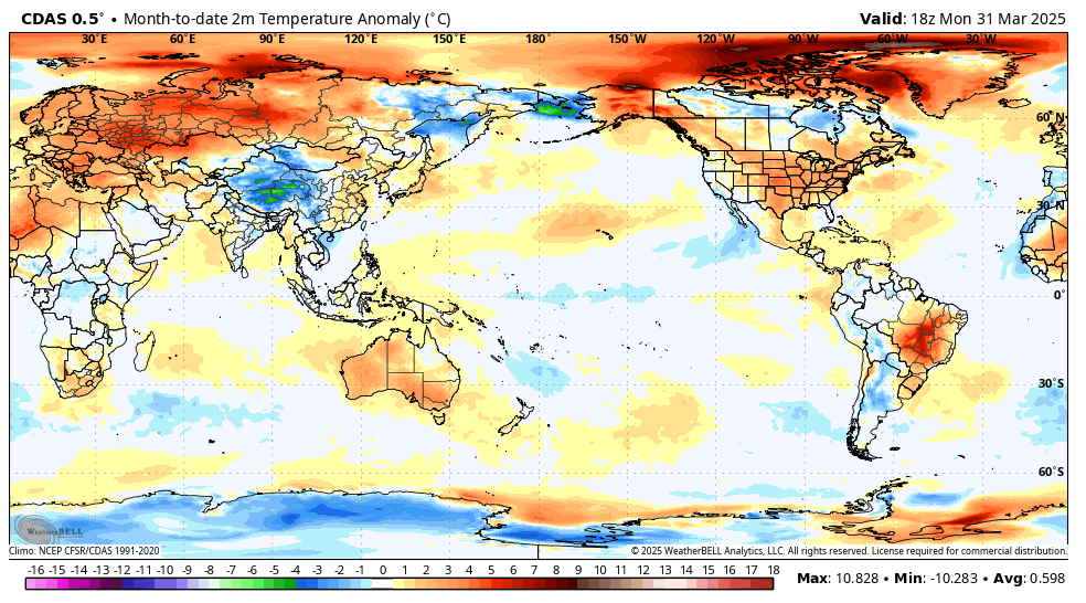 The American Storm tweet media