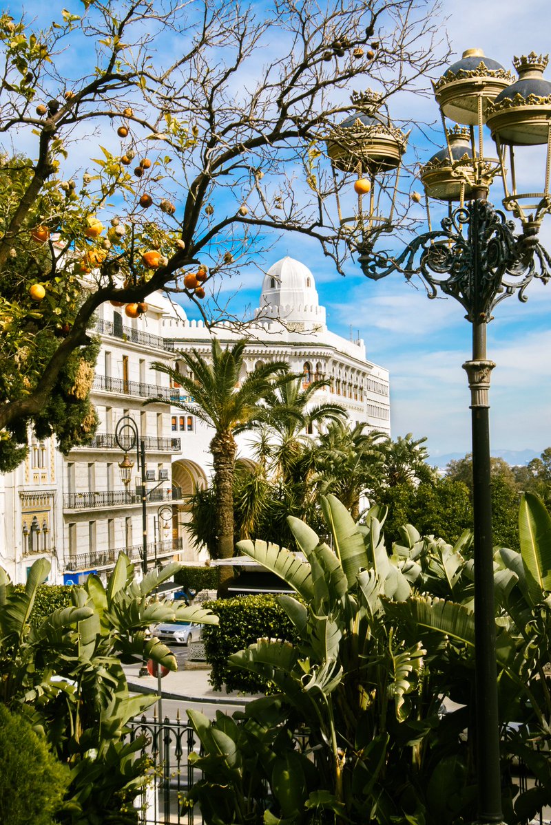 أكرم tweet media