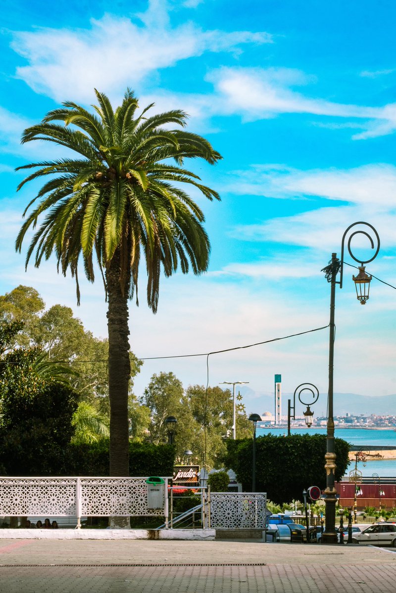 أكرم tweet media