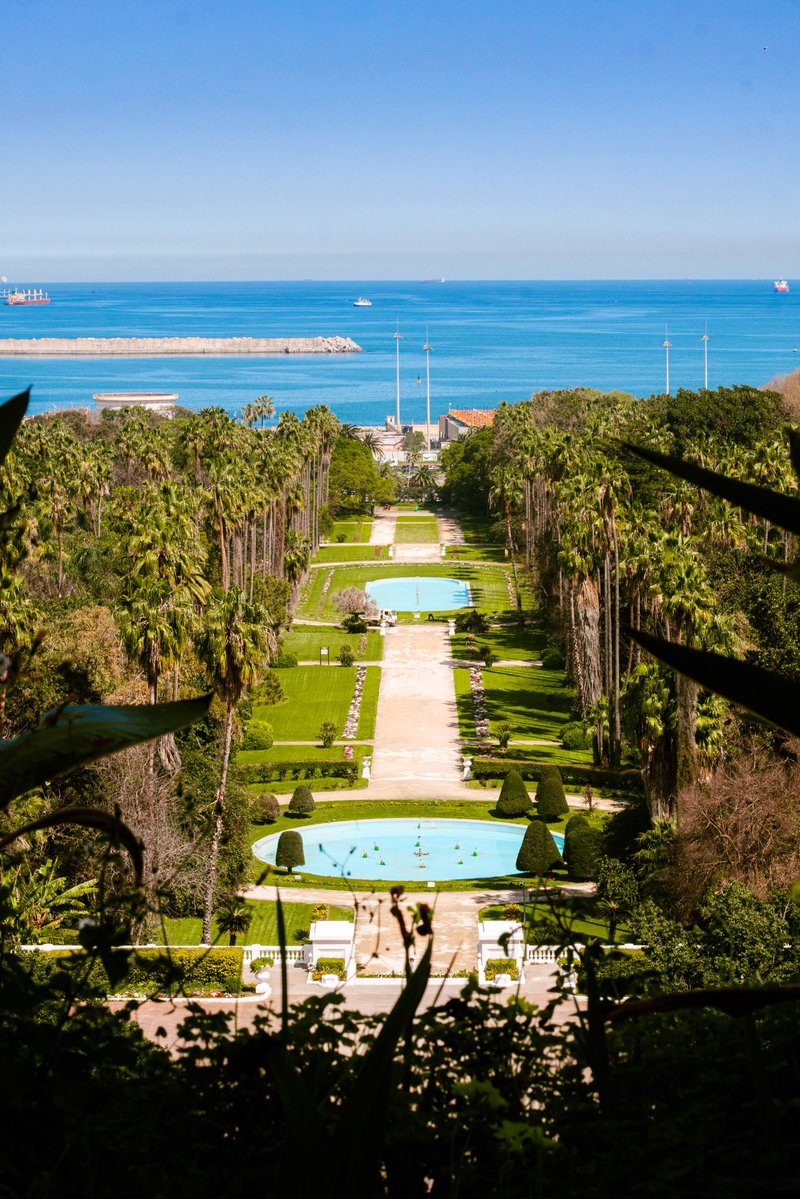 أكرم tweet media