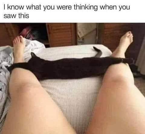 kittyhawk tweet media