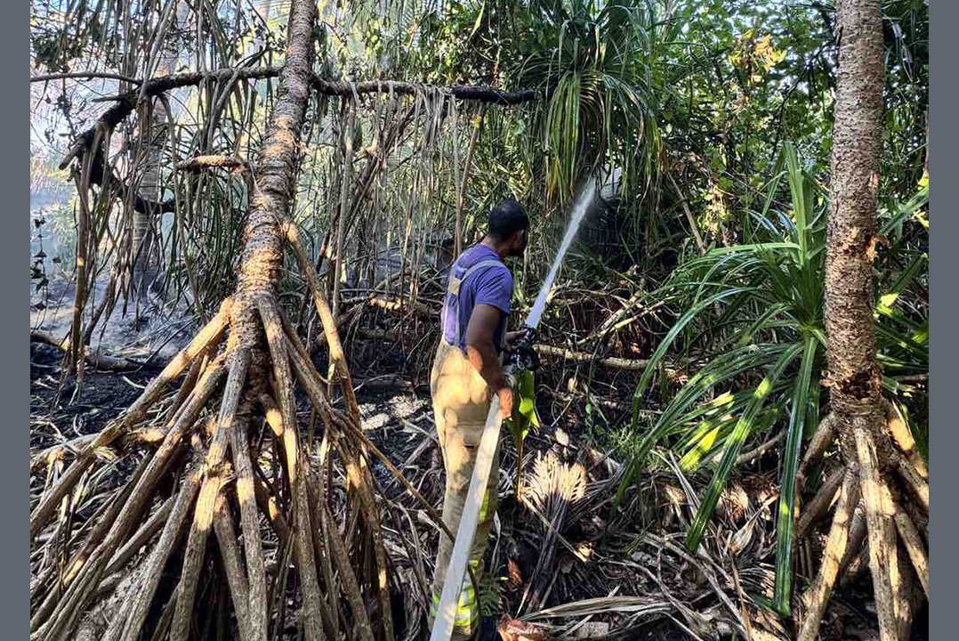 Maldives National Defence Force tweet media