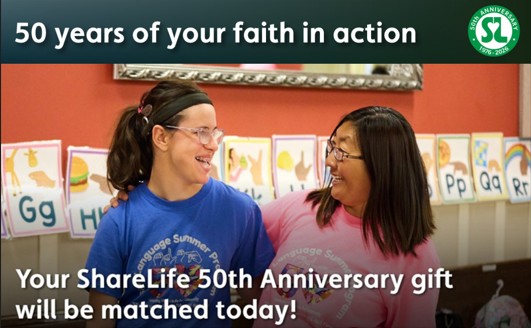 ShareLife tweet media