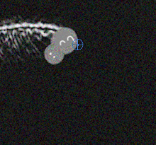 悒うつぼ tweet media