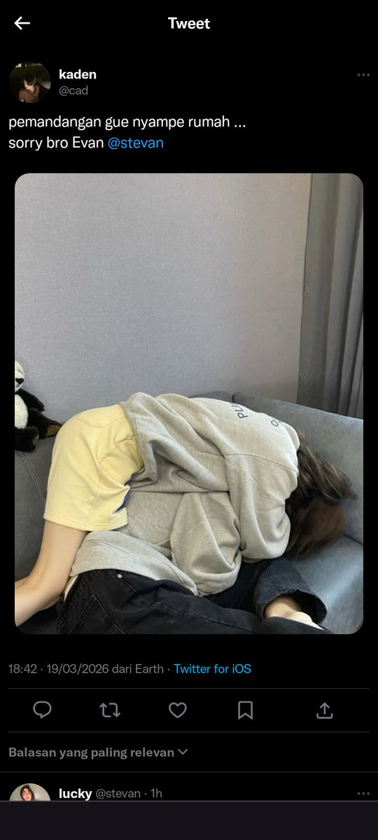 cbgyu𖣂 ❦ ⚘ tweet media