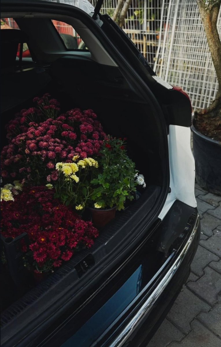 𝕸𝖊𝖑𝖎𝖐𝖊 🌸📚🦋 tweet media