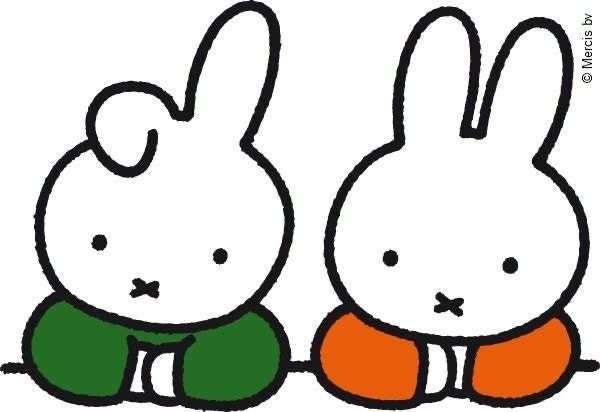 정신체리라 tweet media