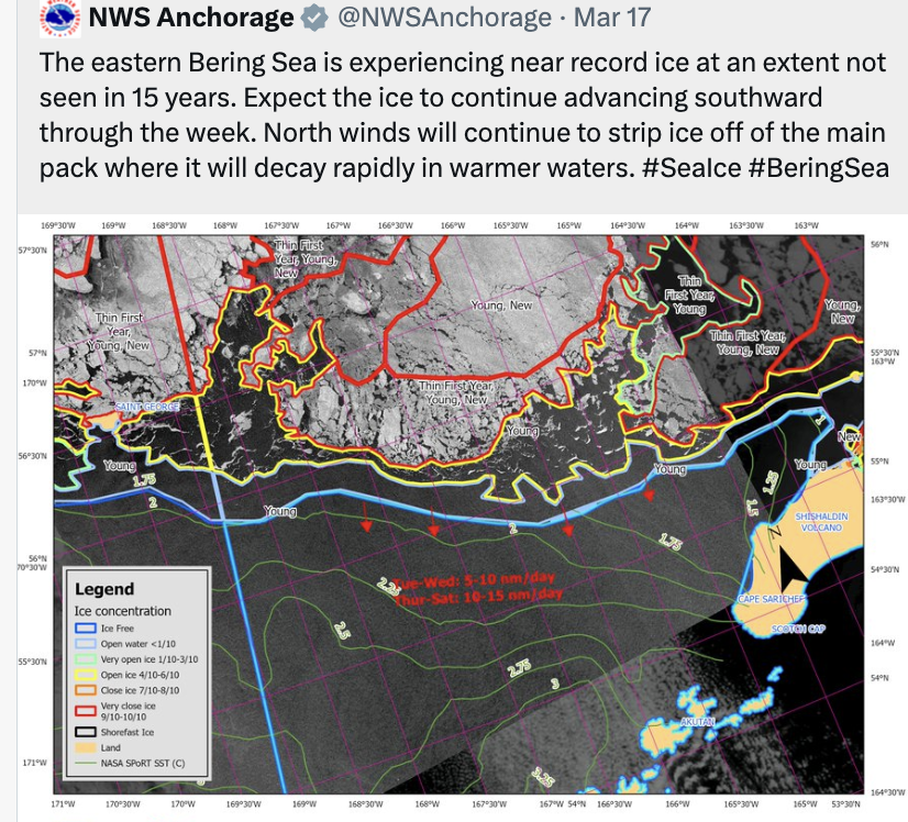The American Storm tweet media