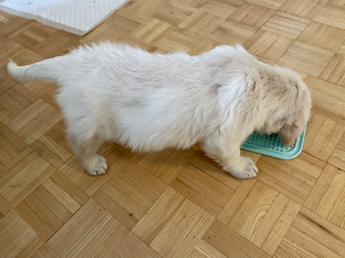 Sari Kontio tweet media