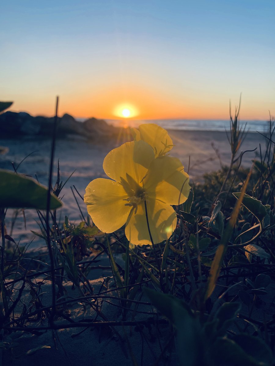 Arty Lunch • Arthur Poindexter Lunch • RaymondGuy tweet media