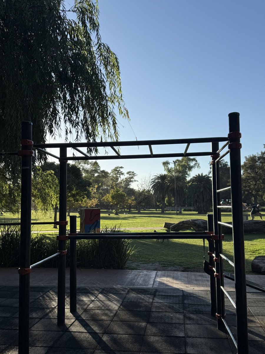 Artu Grande e/acc 🇦🇷 tweet media