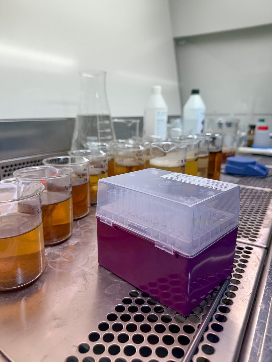 mellifiq's tweet photo. This week, Mellifiq’s lab is testing leachate water samples to evaluate treatment combinations for PFAS, heavy metals, and sulphurous compounds. With extensive leachate experience worldwide, we use detailed lab work to design reliable full-scale treatment solutions. https://t.co/TBHypfRu5L