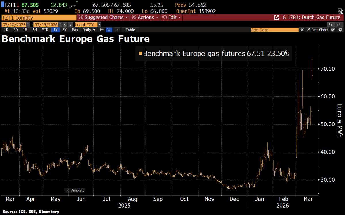 BambooFin tweet media